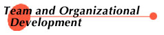 Team/organizational development